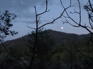 Sex under the full moon – Bicycle Buddha